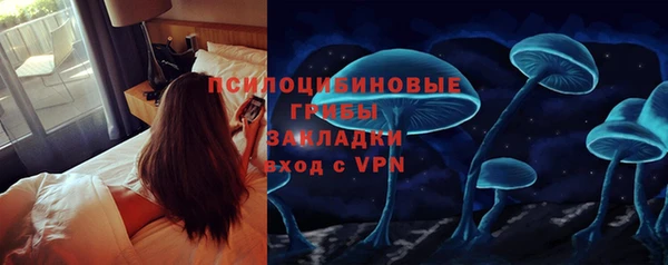мдпв Абаза