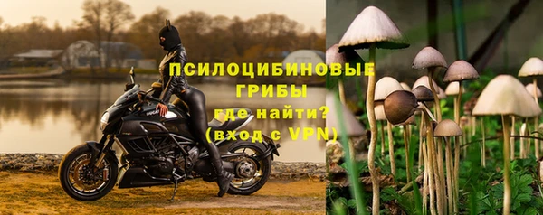 МДПВ Абинск