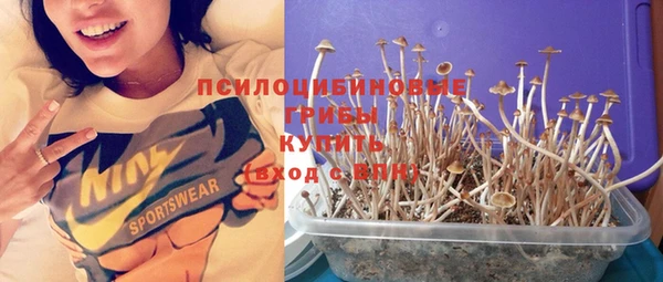 МДПВ Абинск