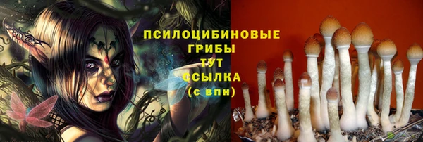 таблы Новодвинск